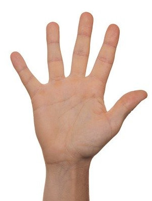 Hand with five fingers