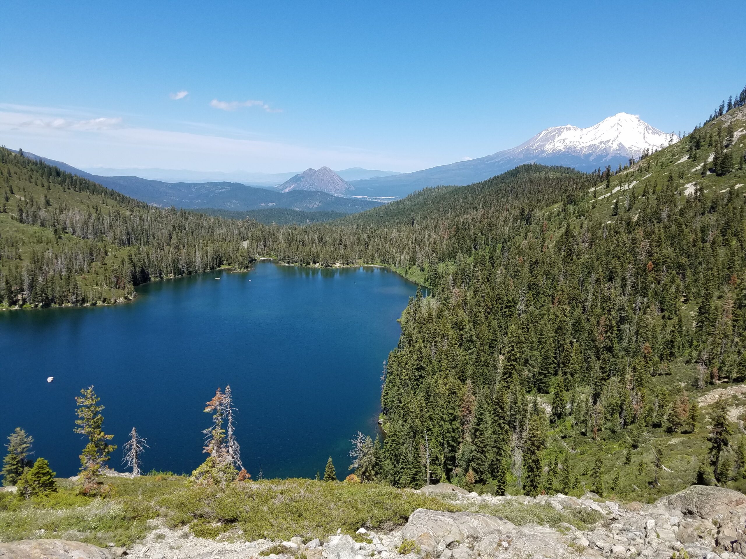 View of a Mt Shasta nearby lake
