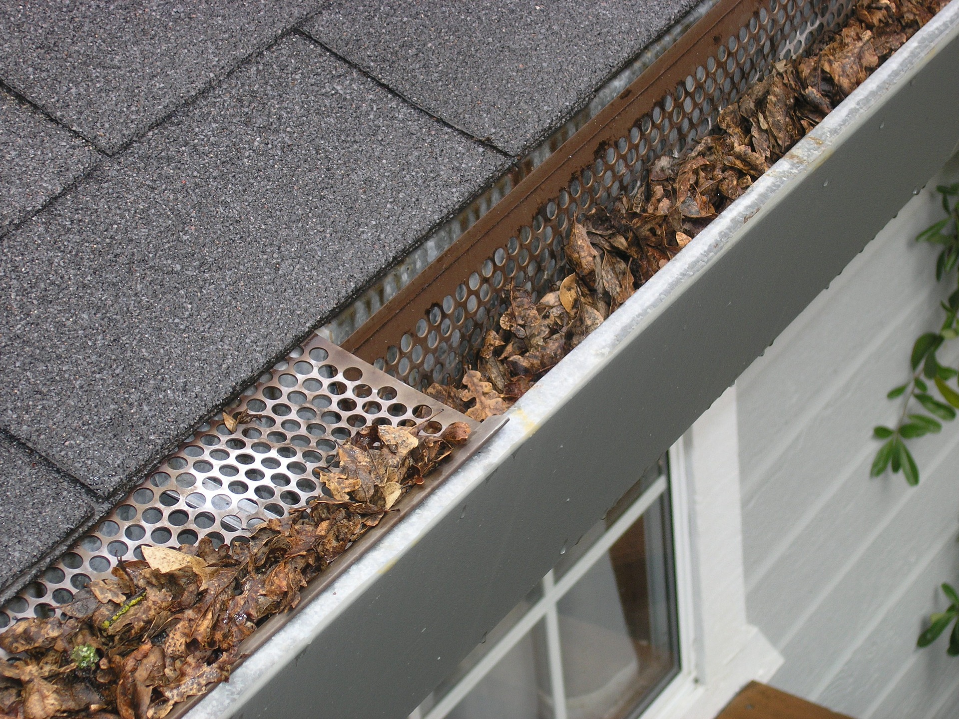 gutter-guard-and-leaves