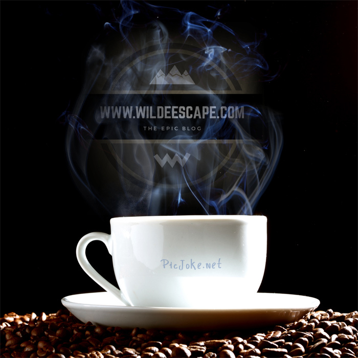 wilde-escape-and-coffee
