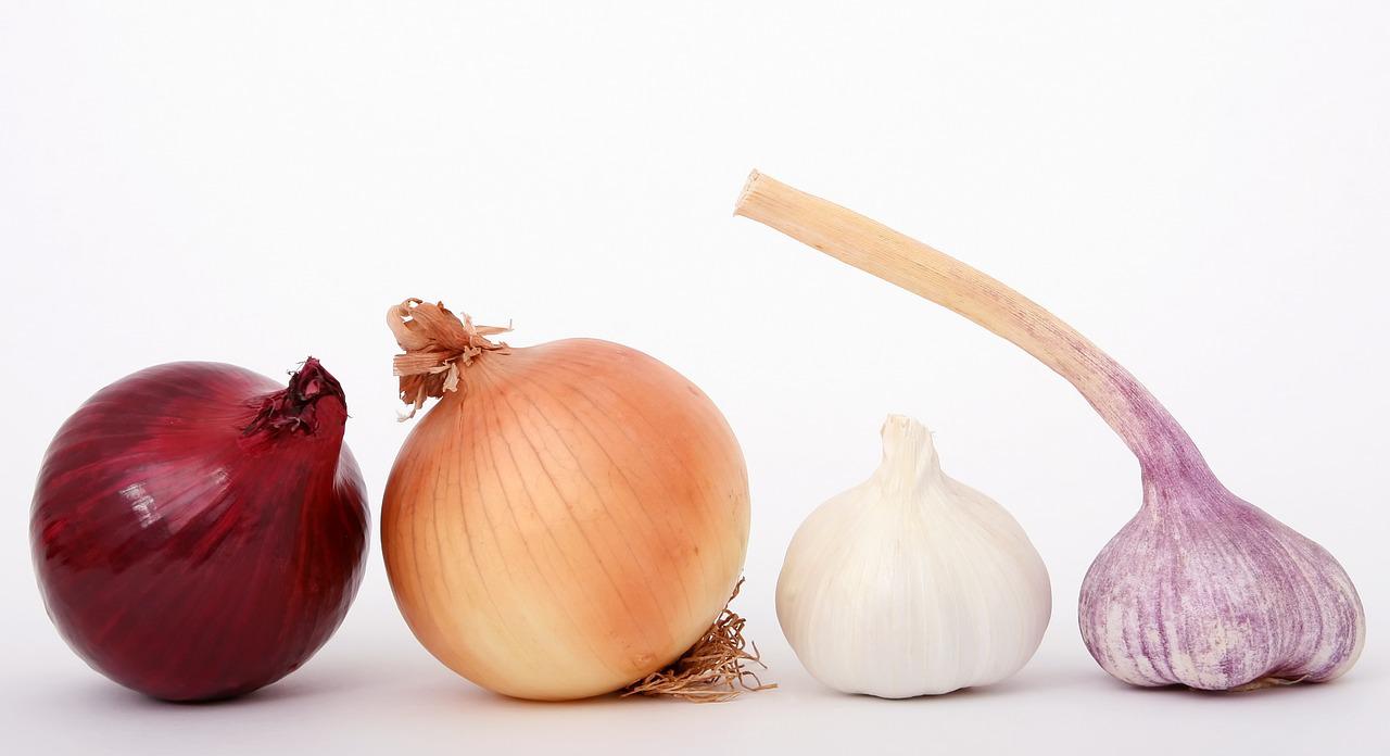 onion-variety