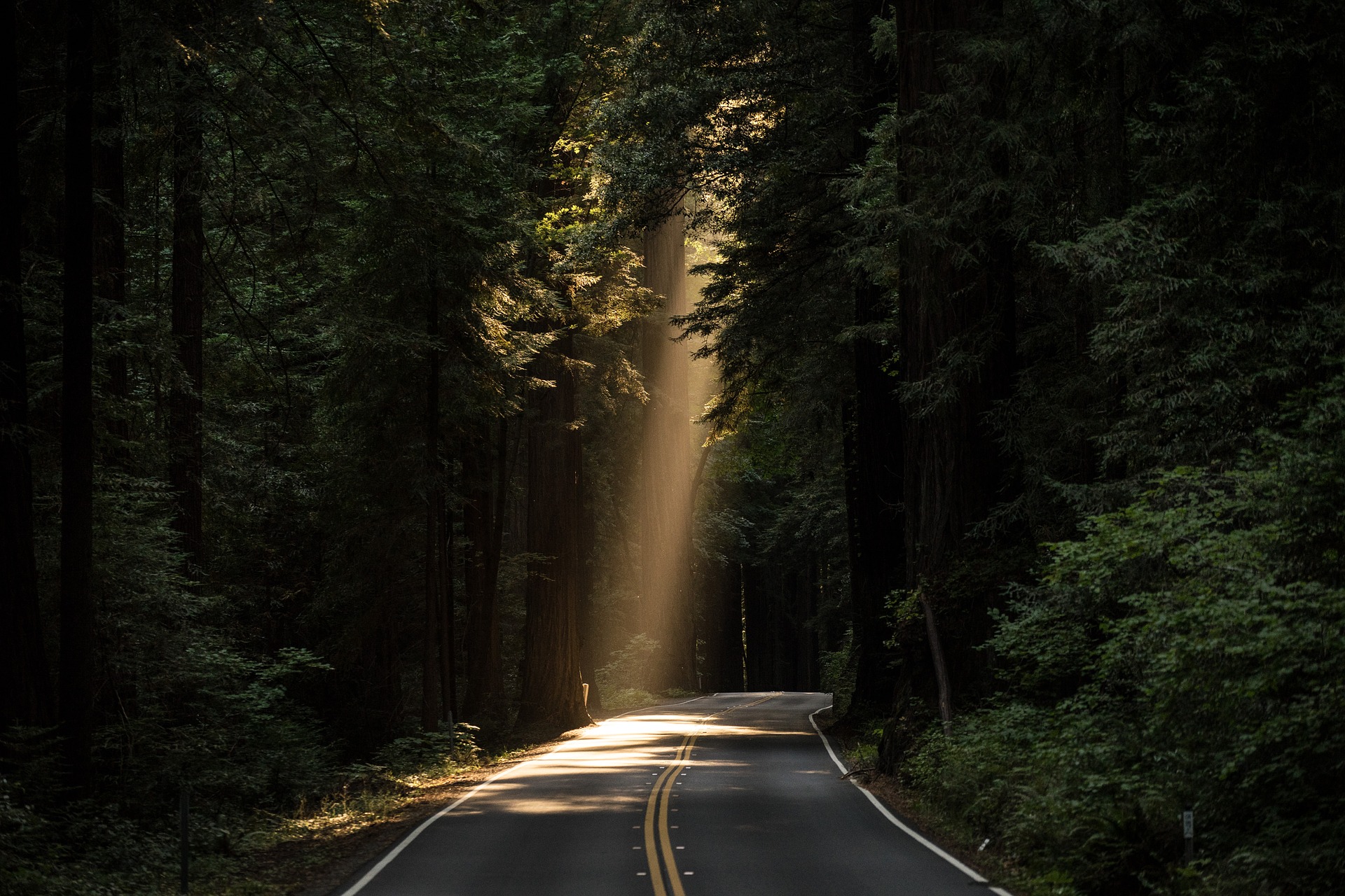 road-with-sunlight