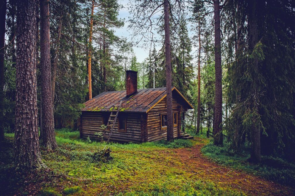 log-cabin-in-woods