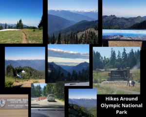 Hikes-around-olympic-national-park