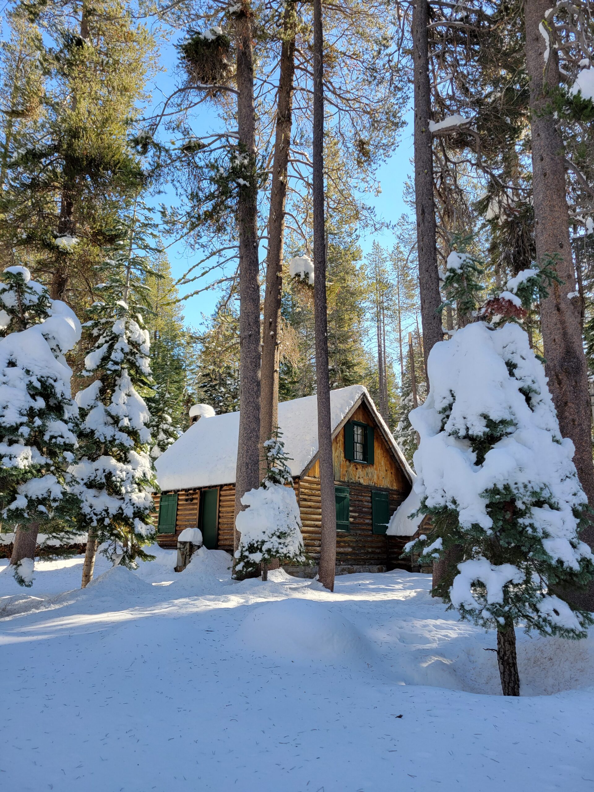cabin located in a forest with snow