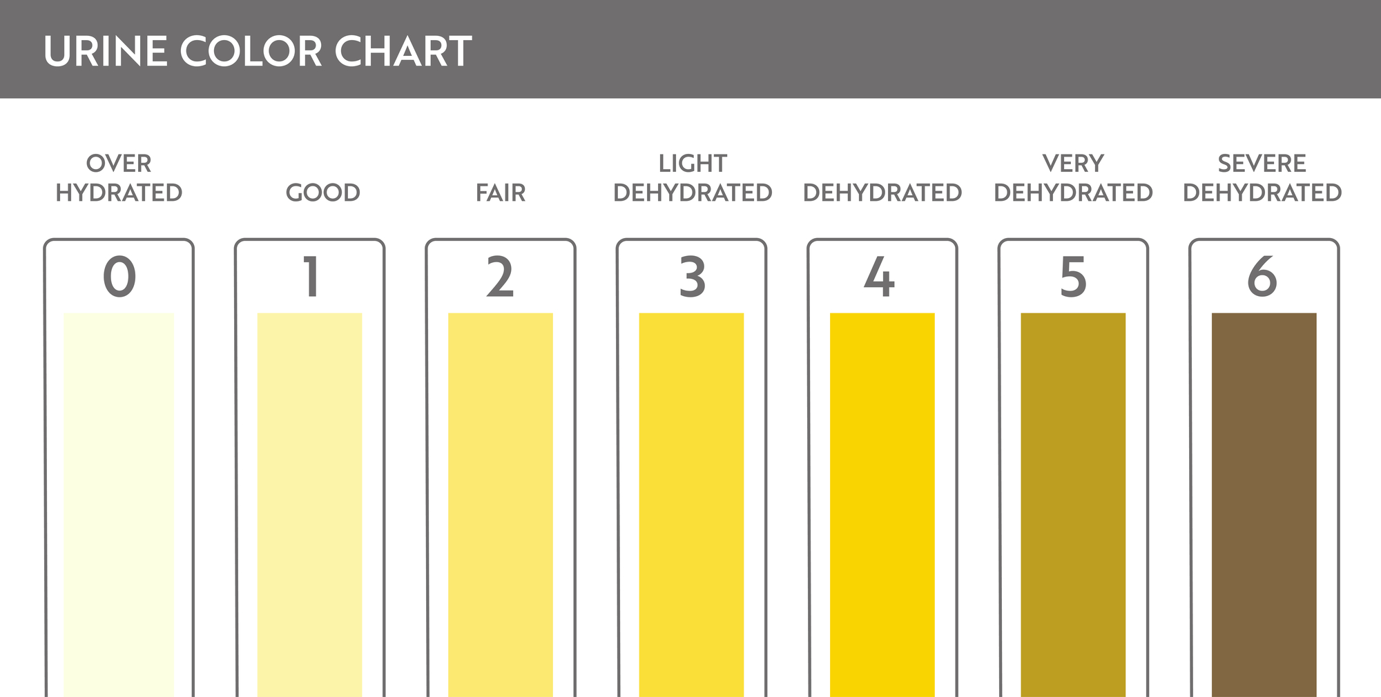 Urine color chart