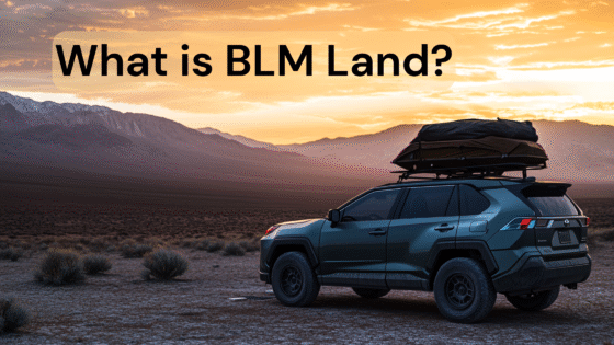What is BLM Land (1)